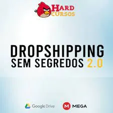 Dropshipping Sem Segredos Rei do Drop: Baixar Curso Completo