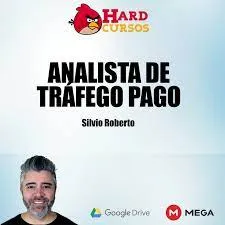 Analista de Tráfego Pago Silvio Roberto: Baixe o Curso Completo