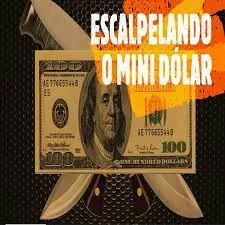 Download Curso Pio Trade: Domine o Mini Dólar Rápido!