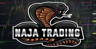 CURSO Caique Costa CF4: Baixar Download Completo e Conteúdo