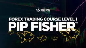 Mentoria Mol Download: Curso Completo para Day Trade de Alta Performance